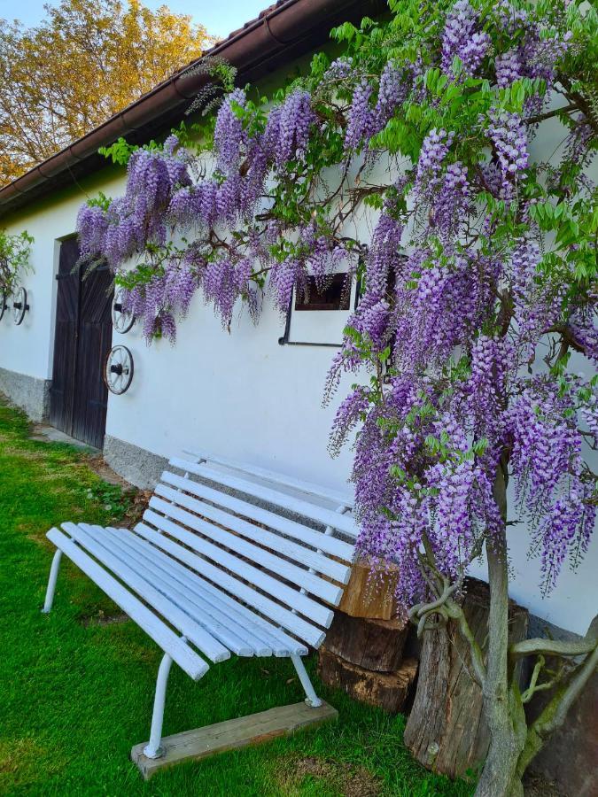 Venkovska Usedlost * Horsice
