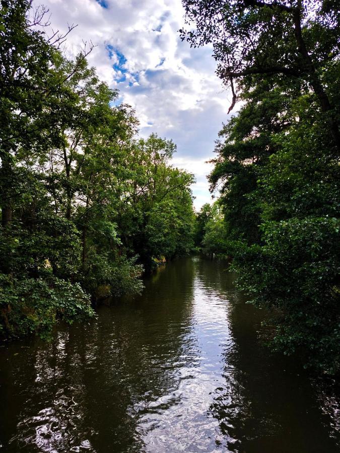 Venkovska Usedlost Holiday home Horsice